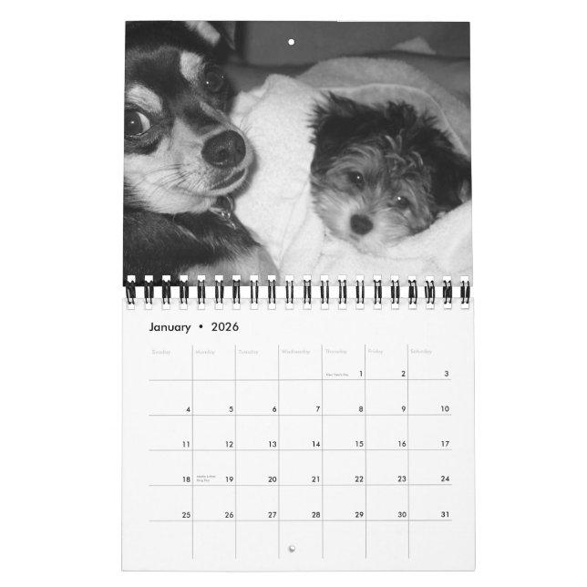 Calendrier Mural C'est la vie 2008 d'un chien (Jan 2026)