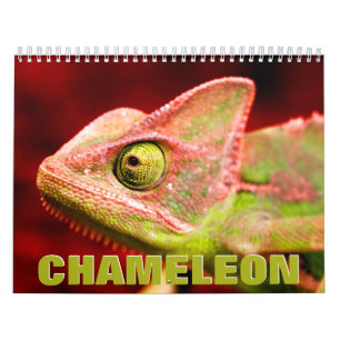 Calendrier mural Chameleon 2022