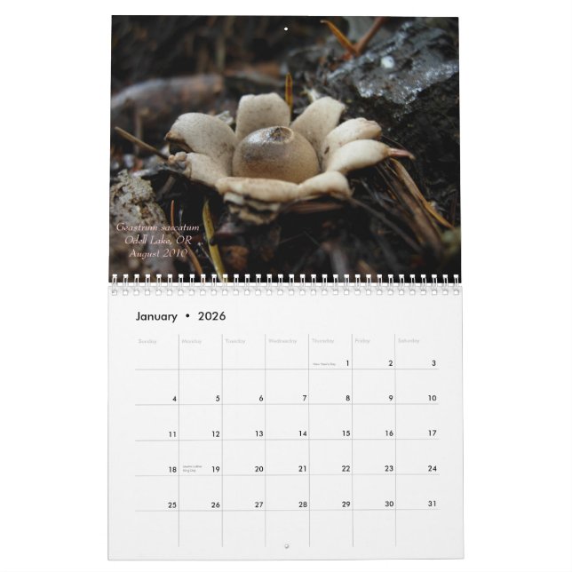 Calendrier Mural Champignons de l'Orégon occidental, 2011 (Jan 2026)