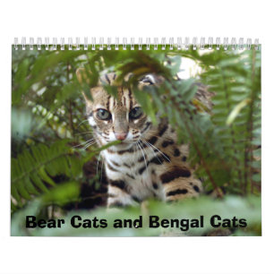 Calendrier Mural Chat 022 du Bengale, chats d'ours et chats du