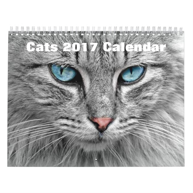 Calendrier Mural Chats 2017 (Protection)