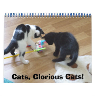 Calendrier Mural Chats, chats glorieux
