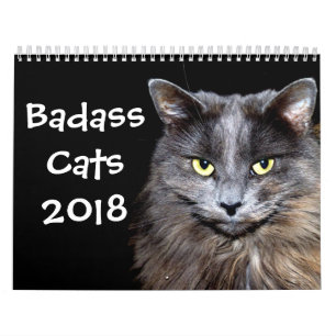 Calendrier Mural Chats drôles avec Catitude