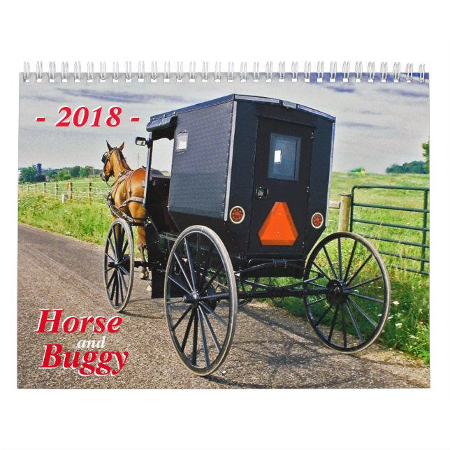 Calendrier Mural Cheval Et Buggy (Protection)