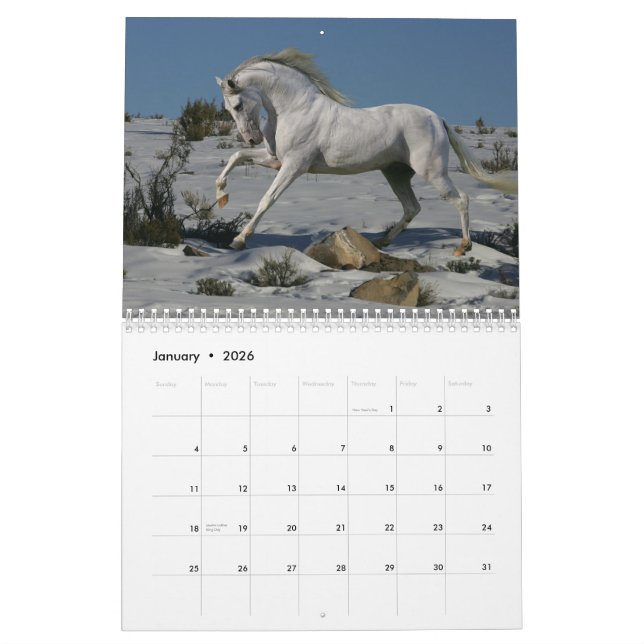 Calendrier Mural Chevaux d'imaginaire (Jan 2026)