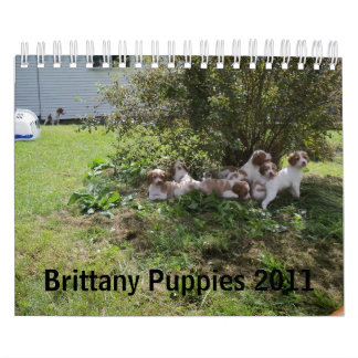 Calendrier Mural Chiots 2011 de la Bretagne