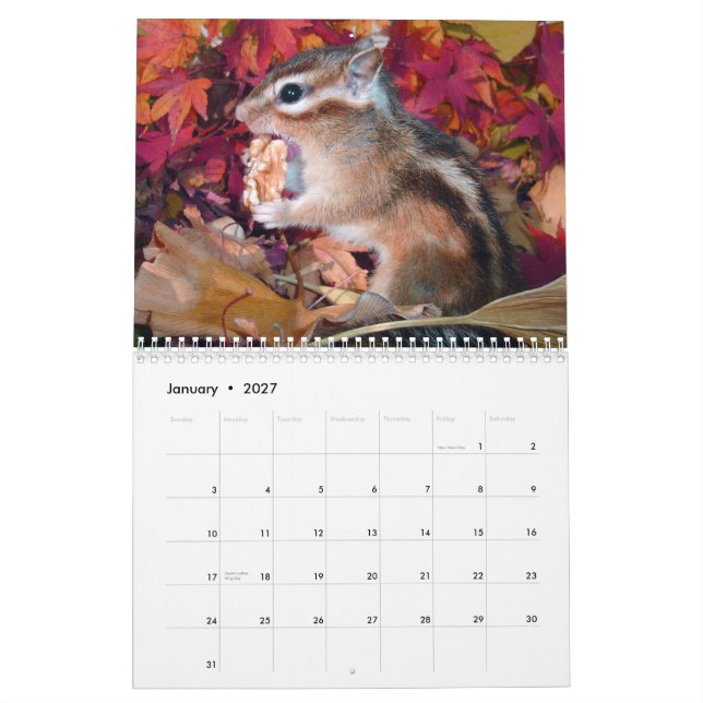 Calendrier Mural chipmunk,Squirrel,photo,calendar (Jan 2027)