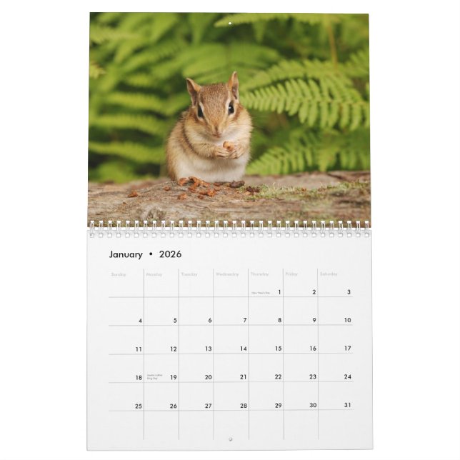 Calendrier Mural Chipmunks pour bébés 2014/2015 (calendrier de 16 m (Jan 2026)