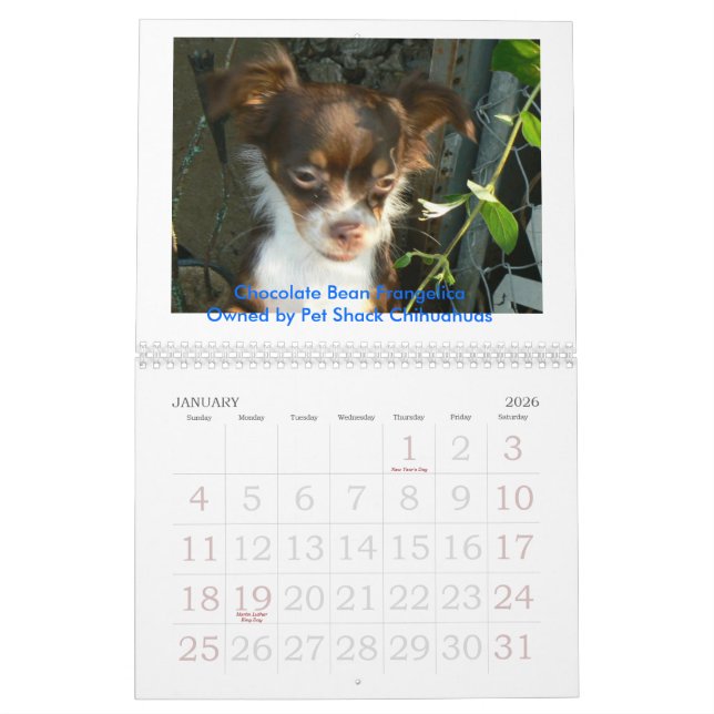 Calendrier Mural Chiwawa 2011 Calander (Jan 2026)