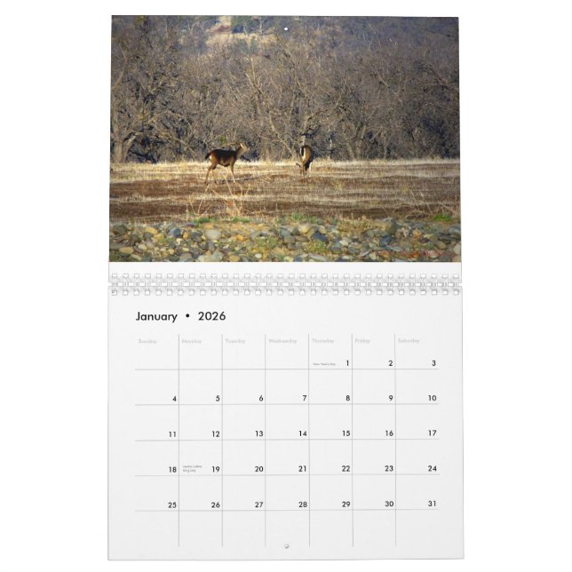Calendrier Mural Chose sauvage 2014 (Jan 2026)