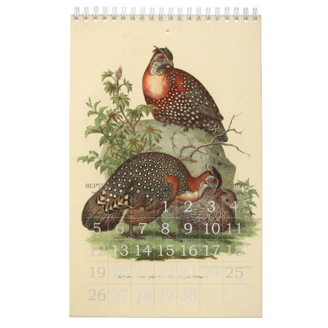 Calendrier Mural Collection vintage d'illustration d'oiseaux (Sep 2027)