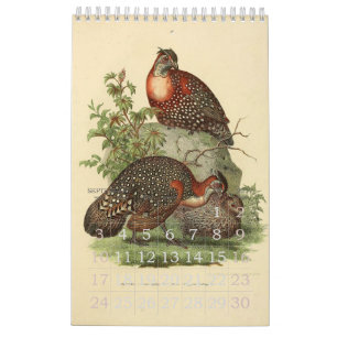 Calendrier Mural Collection vintage d'illustration d'oiseaux