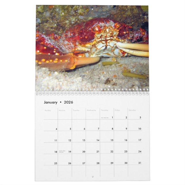 Calendrier Mural Crabes (calendrier 2010) (Jan 2026)