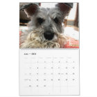 Craignez la barbe : Édition de Schnauzer