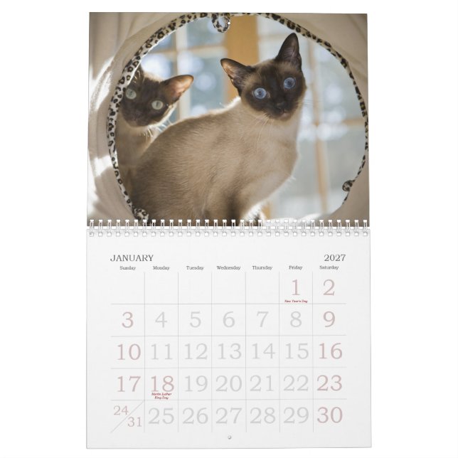 Calendrier Mural Curiosité (Jan 2027)
