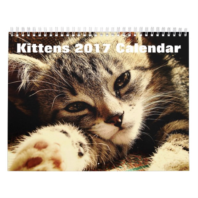 Calendrier Mural Cute Kittens 2017 (Protection)