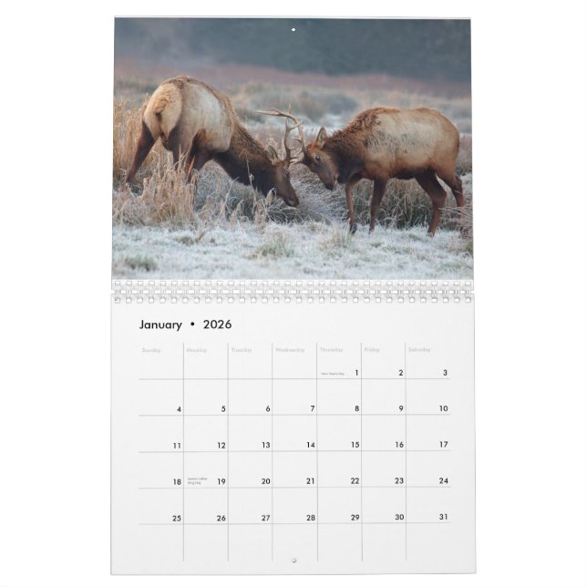Calendrier mural de cerfs communs et d'élans 2015 (Jan 2026)