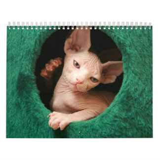 Calendrier mural de chats de Sphynx | GoSphynx.com