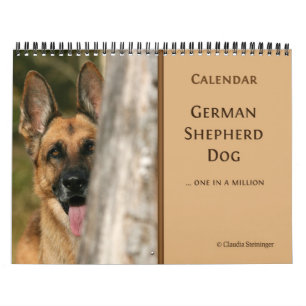 Calendrier mural de chien de berger allemand
