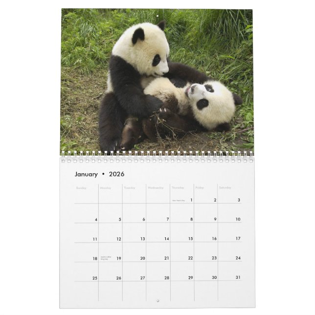 Calendrier mural de pandas (Jan 2026)