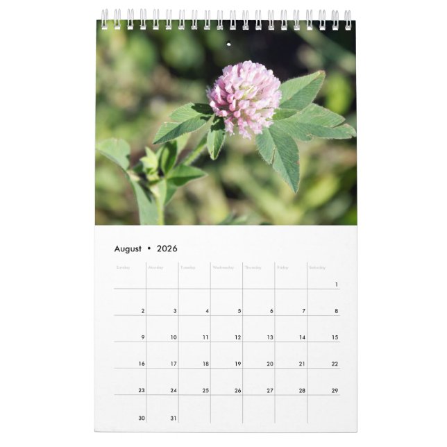 Calendrier mural de photographie personnalisé (Aug 2026)