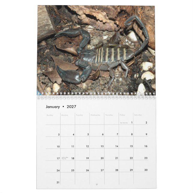 Calendrier mural de scorpions (Jan 2027)