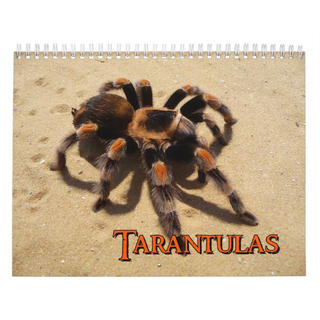 Calendrier mural de tarentules (Protection)