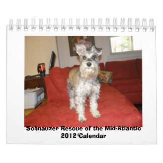 Calendrier Mural Délivrance de Schnauzer du 2012 américanisé