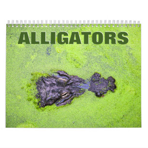 Calendrier mural des alligators 2022