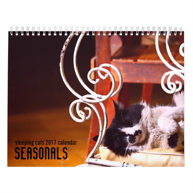 Calendrier mural des chats 2017 de sommeil (Protection)