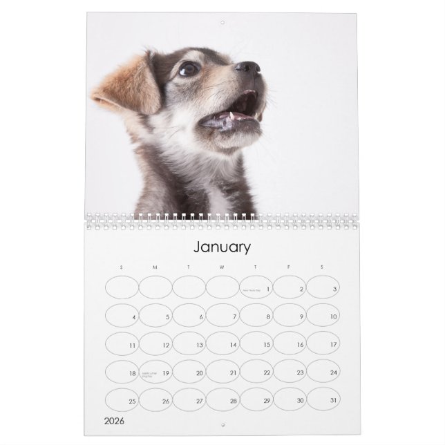 Calendrier mural des chiots 2012 d'abri (Jan 2026)