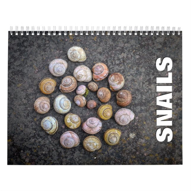 Calendrier mural des escargots (Protection)
