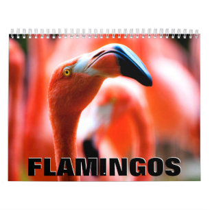 Calendrier mural des Flamants roses