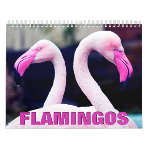 Calendrier mural des Flamants roses roses