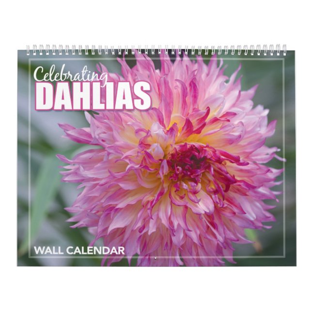 Calendrier mural des fleurs Dahlia (Protection)