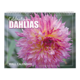 Calendrier mural des fleurs Dahlia