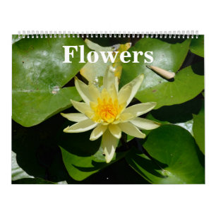 Calendrier mural des fleurs de 12 mois