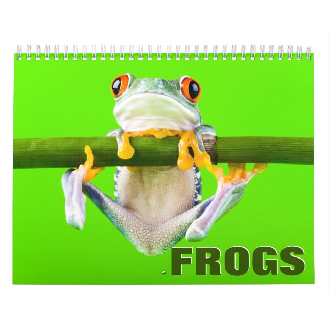 Calendrier mural des grenouilles (Protection)
