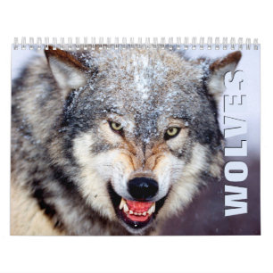 Calendrier mural des loups 2022
