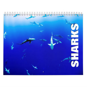 Calendrier mural des requins 2022