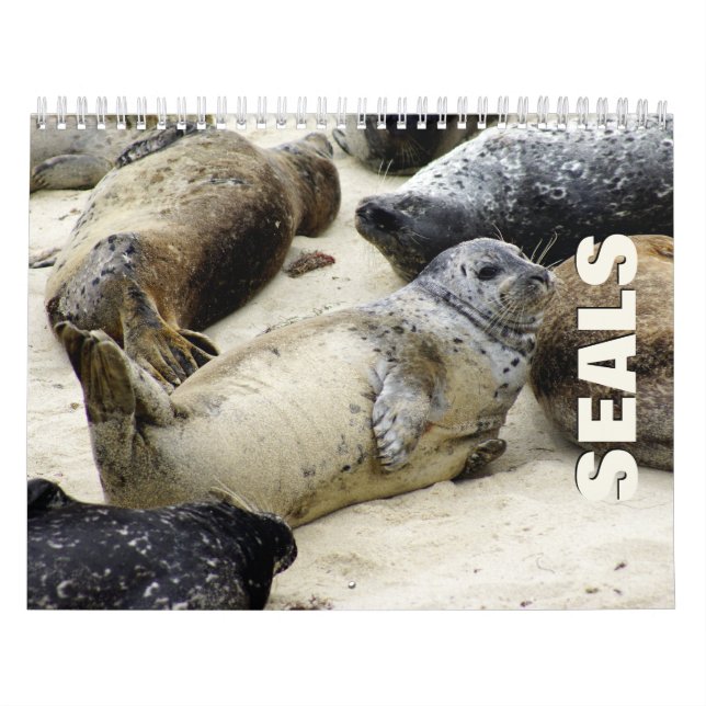 Calendrier mural des sceaux (Protection)