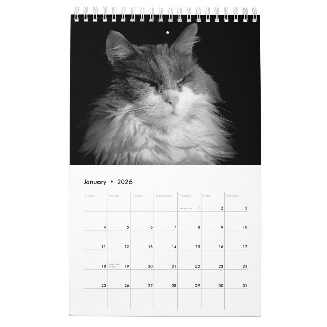 Calendrier Mural DJ's Cats One Page (Jan 2026)