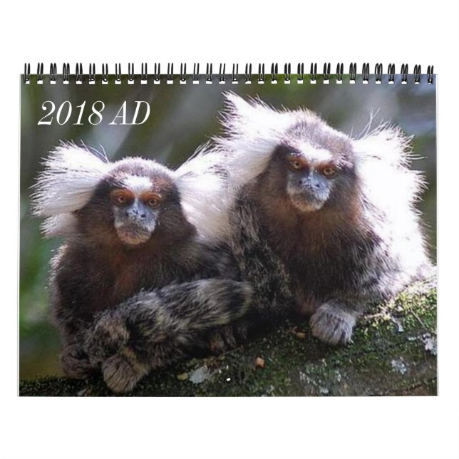 Calendrier Mural Douze singes (Protection)