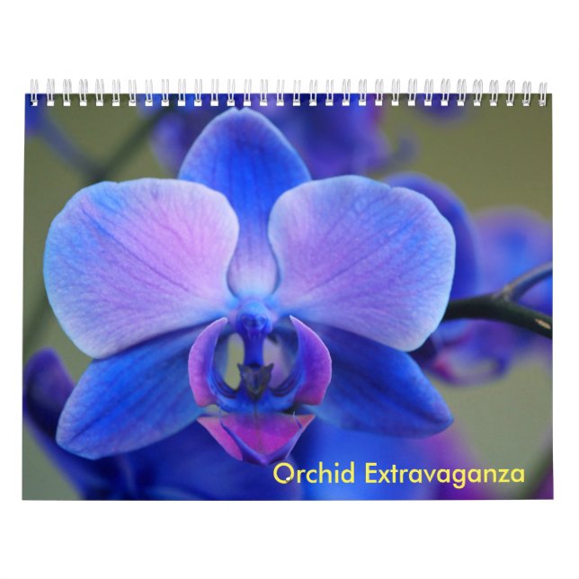Calendrier Mural Extravaganza orchidée (Protection)