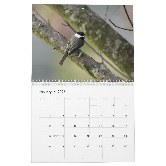 Calendrier Mural Faune 2010 du Tennessee (Jan 2026)