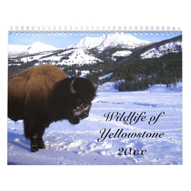 Calendrier Mural Faune de Yellowstone (Protection)