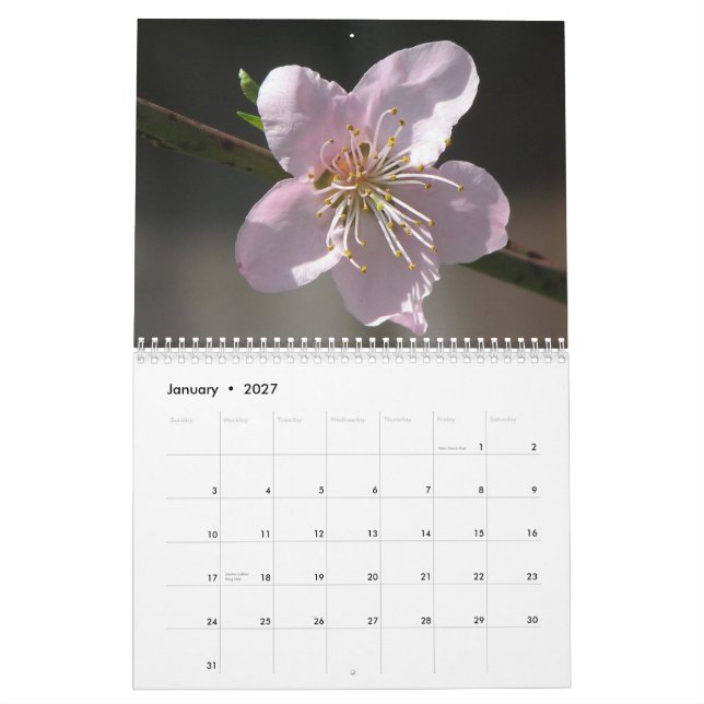 Calendrier Mural Fleurs 2011 (Jan 2027)
