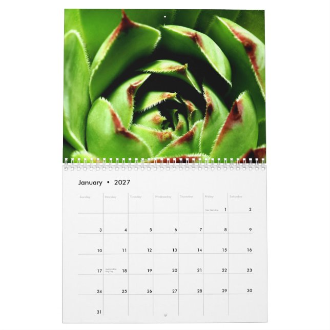 Calendrier Mural Fleurs et insectes (Jan 2027)