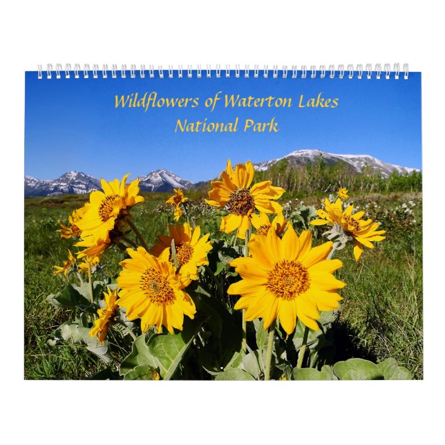 Calendrier Mural Fleurs sauvages de parc national de lacs Waterton (Protection)