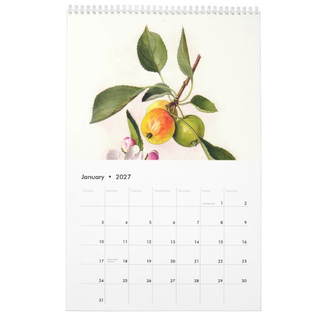 Calendrier Mural Fruit 2015 (Jan 2027)